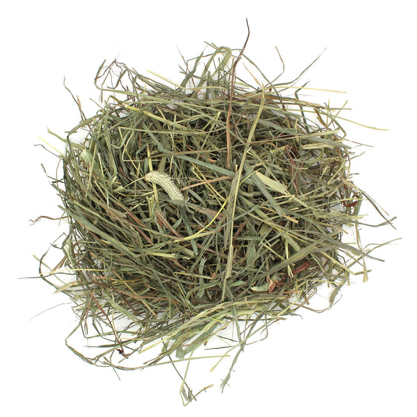 Sunseed SunSations Natural Timothy Hay for Small Animals