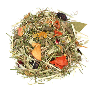 Sunseed Sun Salad Foraging Guinea Pig Treats