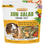 Sunseed Sun Salad Foraging Guinea Pig Treats