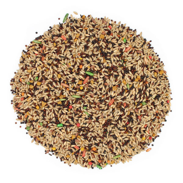 Sunseed Vita Sunscription Canary Food