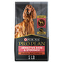 Purina Pro Plan Focus Adulte Peau Sensible & Estomac Sensible Saumon & Riz Croquettes pour chiens