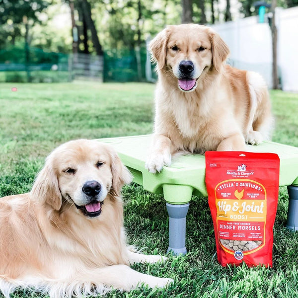 Stella & Chewy's Stella's Solutions Hip & Joint Boost Cage-Free Chicken Dinner Morsels Freeze-Dried Dog Food