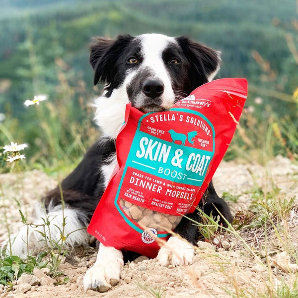 Stella & Chewy's Stella's Solutions Soin peau & pelage Morceaux de dîner agneau nourri Ï  l'herbe et saumon sauvage déshydratés pour chiens