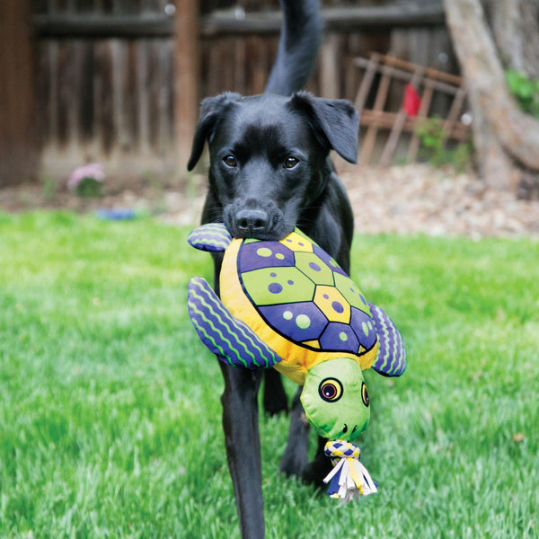 KONG Aloha Turtle Dog Toy, Green