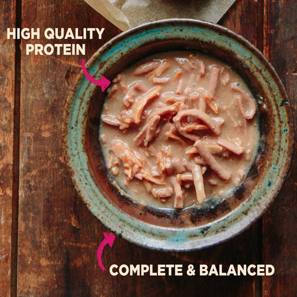 Wellness CORE Small Breed Mini Meals Shredded Chicken & Turkey Dinner in Gravy Wet Dog Food Pouch