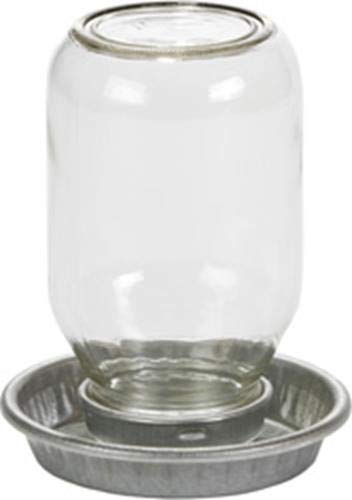 Miller Little Giant Mason Jar Baby Chick Waterer, 1-quart