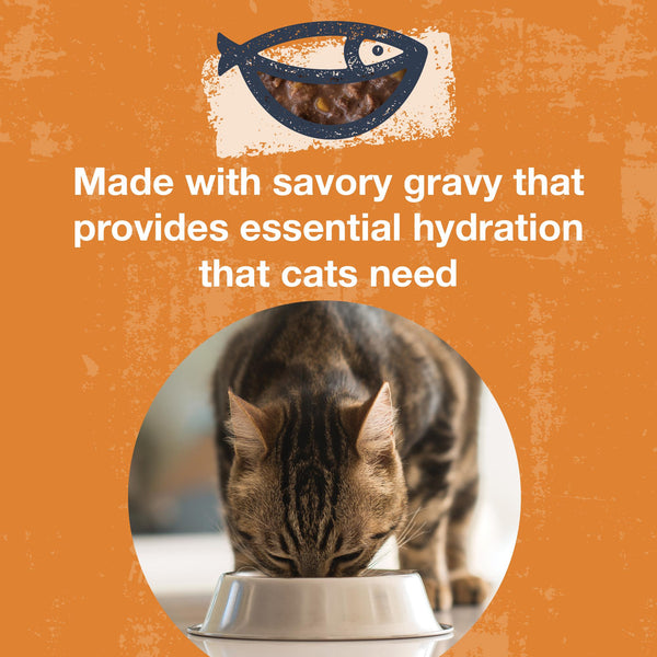 KOHA Poke Bowl Tuna & Pumpkin Entree in Gravy Wet Cat Food Pouch