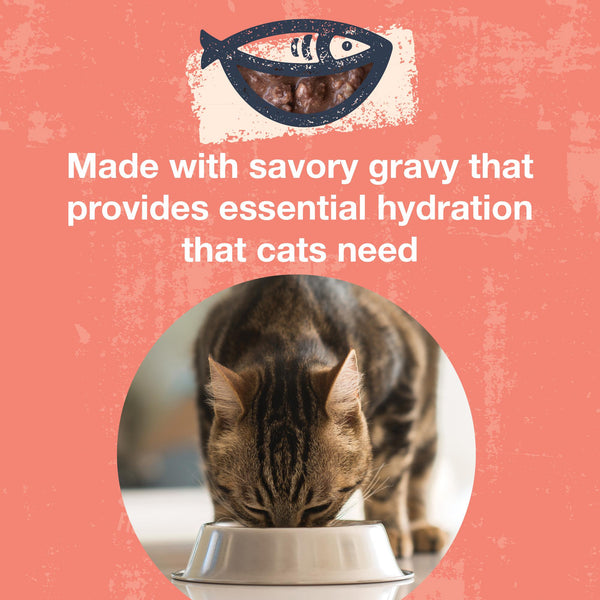 KOHA Poke Bowl Tuna & Salmon Entree in Gravy Wet Cat Food Pouch