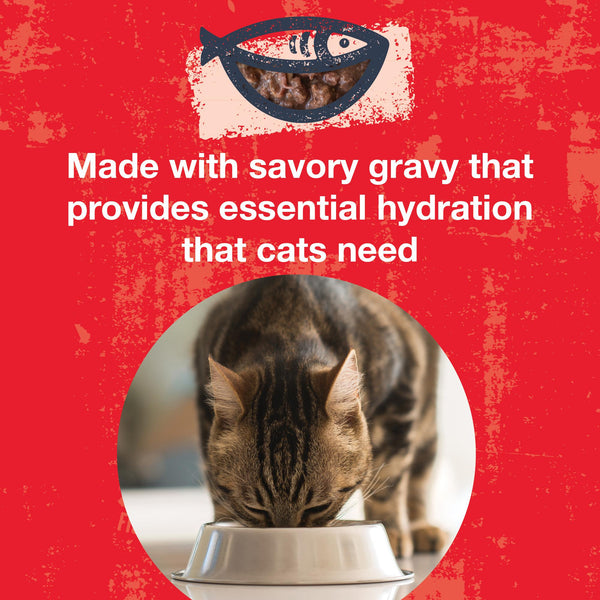 KOHA Poke Bowl Tuna & Beef Entree in Gravy Wet Cat Food Pouch