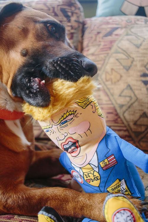 Fuzzu Donald Trump Dog Toy