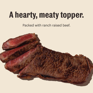 The Honest Kitchen Meal Booster 99% Ranch-Raised Beef Wet Dog Food Topper