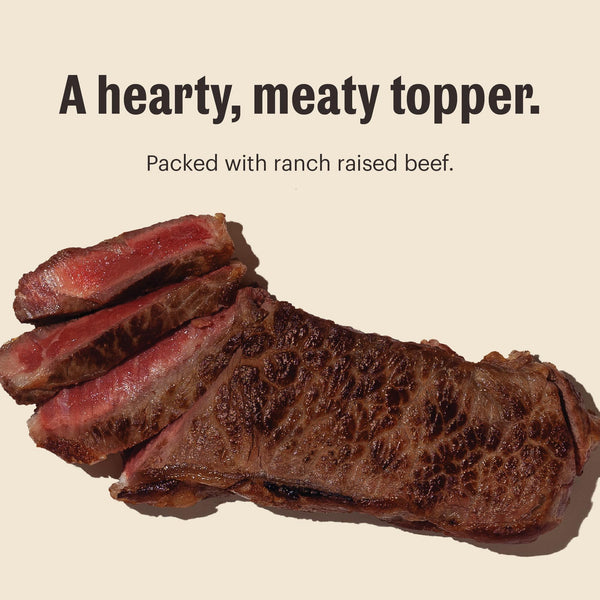 The Honest Kitchen Meal Booster 99% Ranch-Raised Beef Wet Dog Food Topper