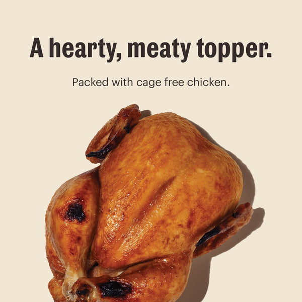 The Honest Kitchen Meal Booster 99% Cage-Free Chicken Wet Dog Food Topper