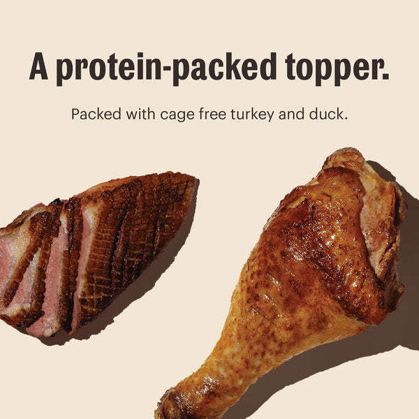 The Honest Kitchen Meal Booster 99% Cage-Free Turkey & Duck Wet Dog Food Topper