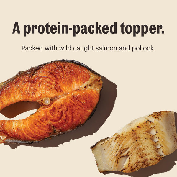 The Honest Kitchen Meal Booster 99% Wild-Caught Salmon & Pollock Wet Dog Food Topper