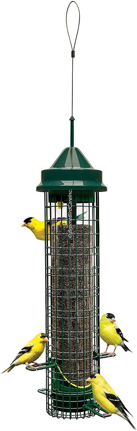 Brome Squirrel Buster Finch Bird Feeder