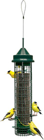 Brome Squirrel Buster Finch Bird Feeder