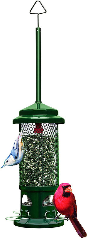Brome Squirrel Buster Standard Bird Feeder