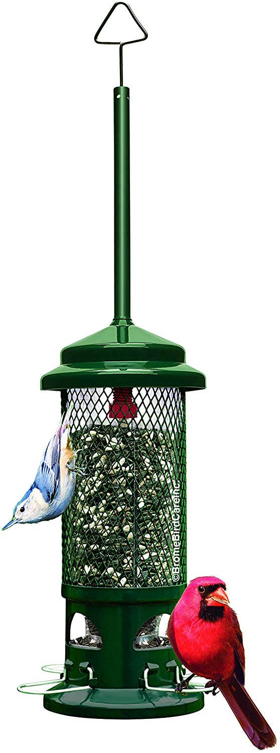 Brome Squirrel Buster Standard Bird Feeder