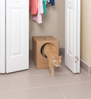 PetSafe Bac À Litière Scoopfree Jetable
