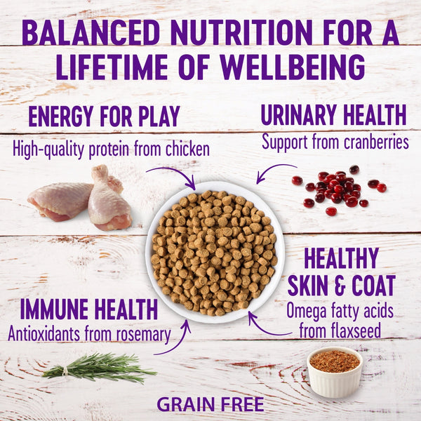 Wellness Complete Health Grain-Free Senior Dry Cat Food, 5.5-lb