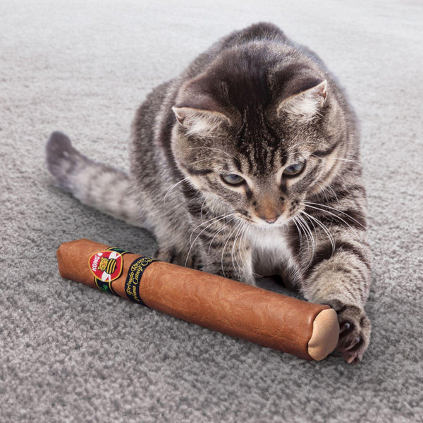 KONG Better Buzz Cigar Cat Toy