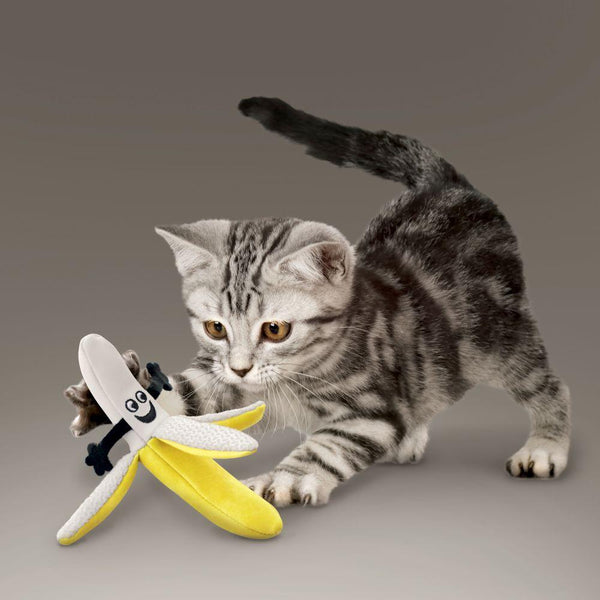 KONG Jouet pour chat Better Buzz Banana, assortis