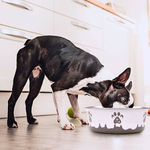 Coastal Maslow Non-Skid Paw Design Dog Bowl, Pink/White