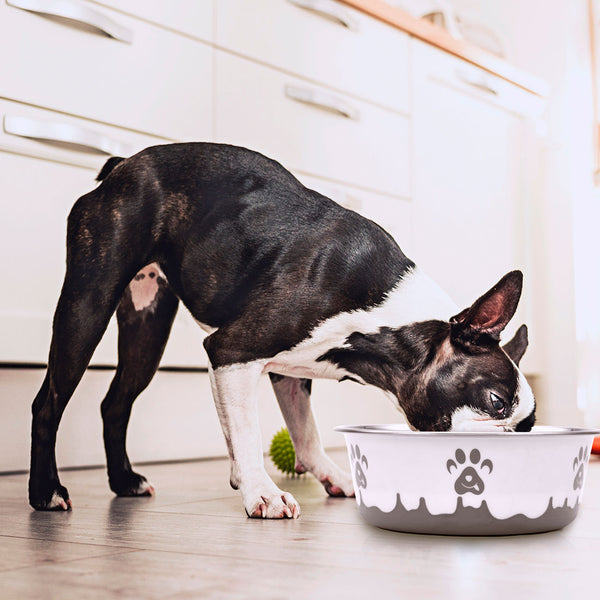 Coastal Maslow Non-Skid Paw Design Dog Bowl, Pink/White