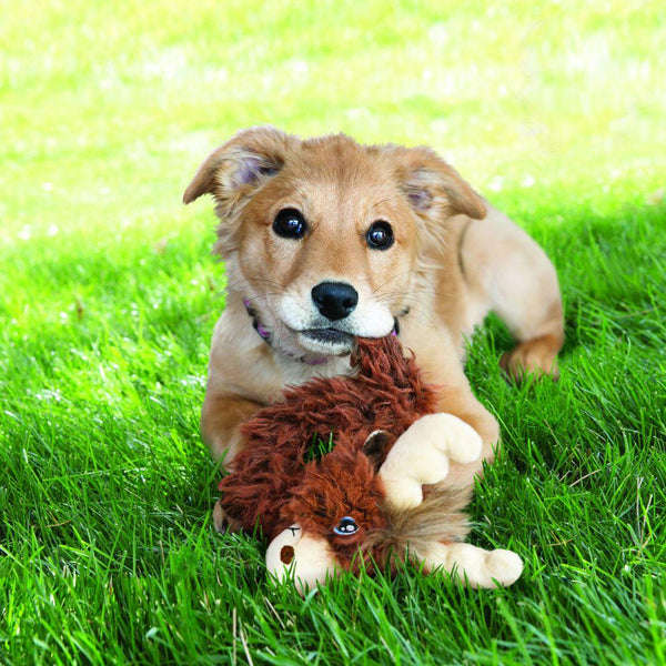 KONG Trekkers Moose Dog Toy