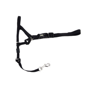 Coastal Walk 'n Train! Dog Head Halter