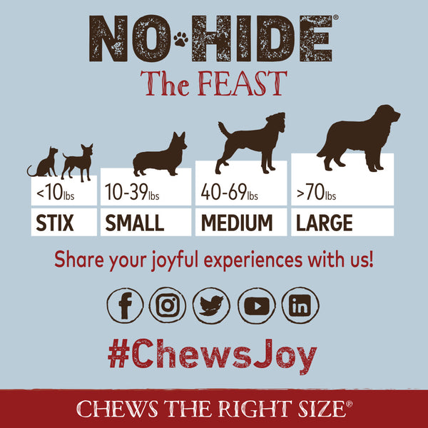 Earth Animal No-Hide The Feast Dog Treat