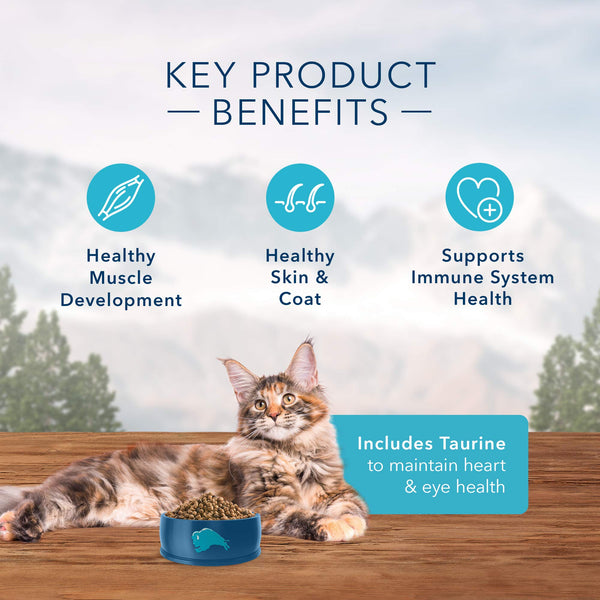 Blue Buffalo Wilderness Salmon Recipe Grain-Free Dry Cat Food