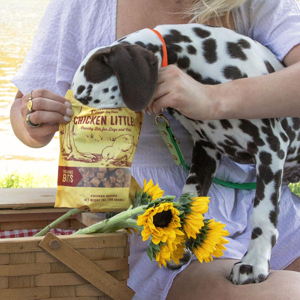 Polkadog Chicken Littles Training Bits Dog Treats