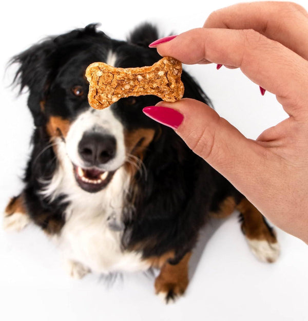 Polkadog Chicken Littles Bone Shaped Dog & Cat Treats