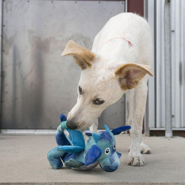 KONG Dragon Knots Dog Toy, Assorted Colors, Medium/Large