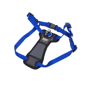 Coastal Walk Right! Front-Connect Padded Dog Harness, Blue