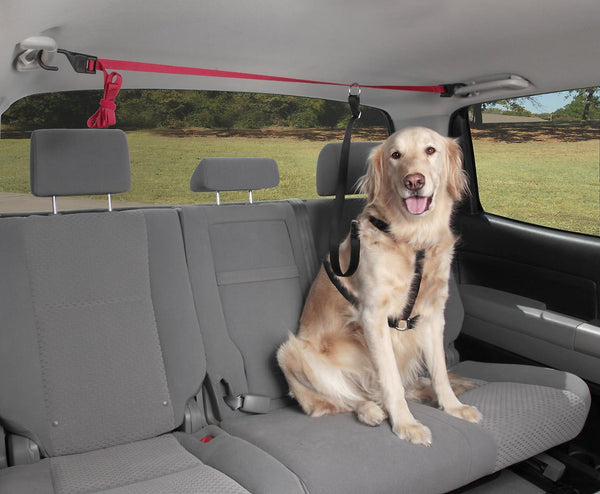 PetSafe Happy Ride Dog Vehicle Zipline
