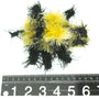 Oomaloo Bumble Bee Dog Toy, Yellow/Black, Medium