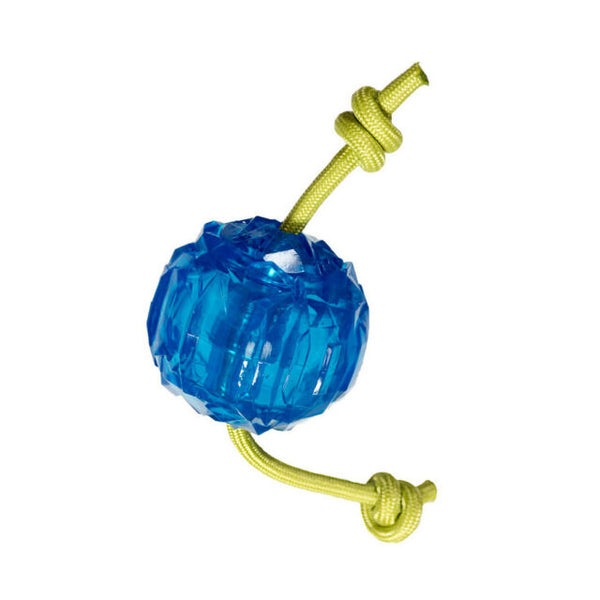 Hero Jouet pour chien balle glacée rechargeable