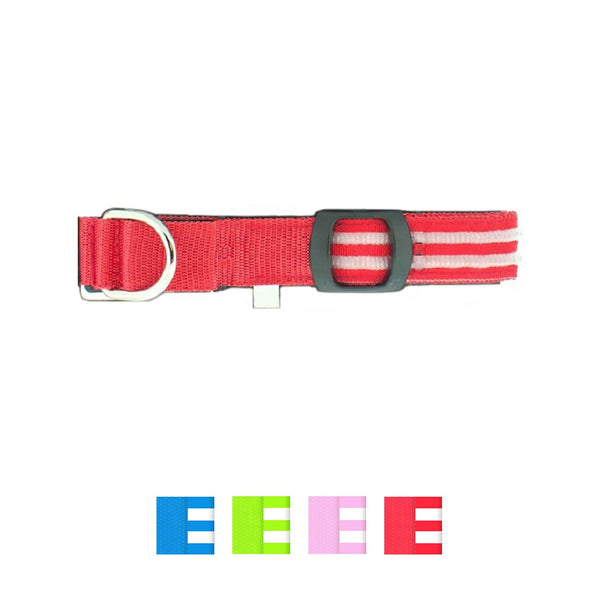 4id LED Lite Up Dog Collar, Red