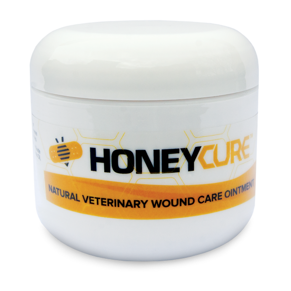 HoneyCure Onguent naturel vétérinaire pour soins des plaies chez animaux de compagnie
