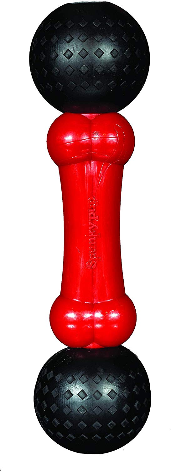 Spunky Pup Fetch & Chew Bone Dog Toy