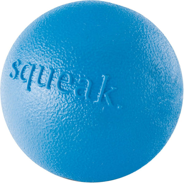 Planet Dog Orbee-Tuff Squeak Ball Dog Toy, Blue