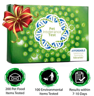 5Strands Pet Intolerance Test, 200-items