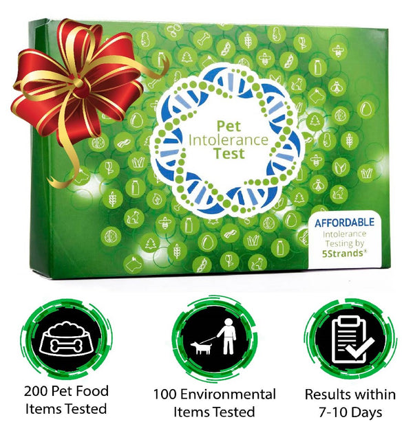 5Strands Pet Intolerance Test, 200-items