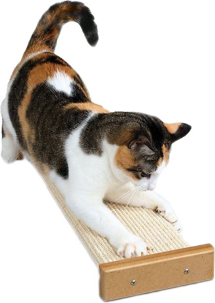 Pioneer Pet Griffoir combiné SmartCat Bootsie