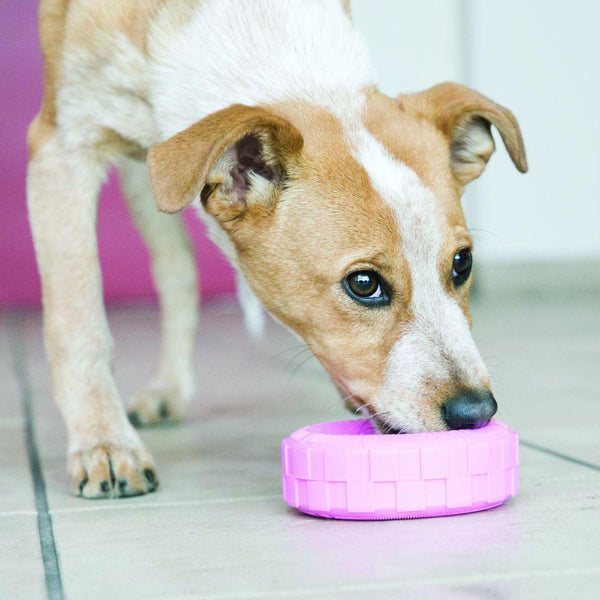 KONG Puppy Tires Dog Toy, Color Varies