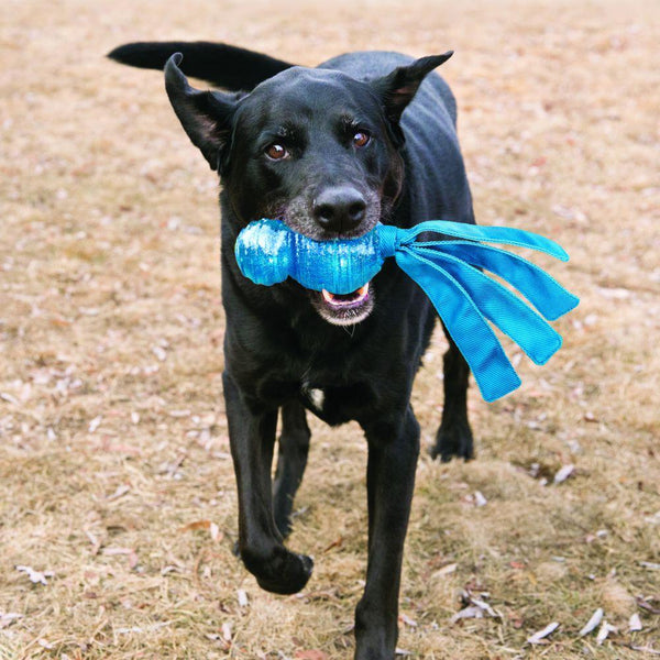 KONG Wubba Comet Dog Toy, Assorted Colors