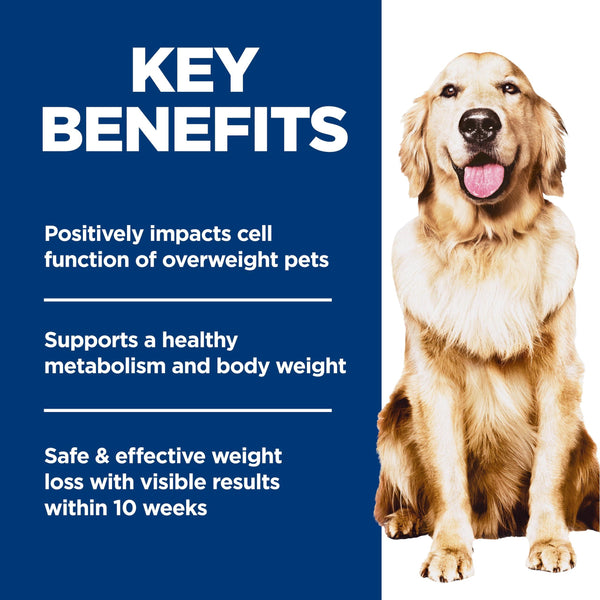 Hill's Science Diet Adulte Perfect Weight Croquettes pour chien